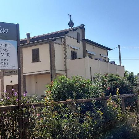 Agriturismo Il Vecchio Olivo Castagneto Carducci Eksteriør bilde