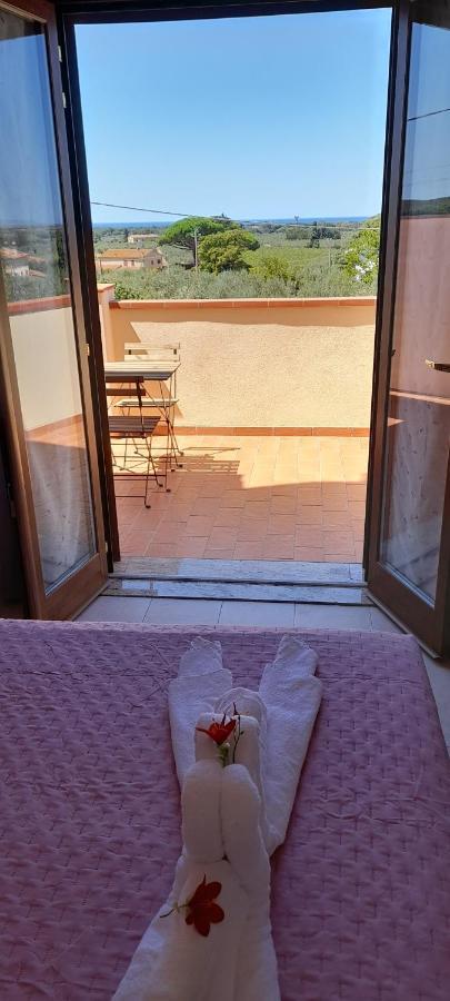 Agriturismo Il Vecchio Olivo Castagneto Carducci Eksteriør bilde