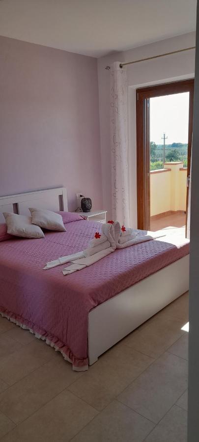 Agriturismo Il Vecchio Olivo Castagneto Carducci Eksteriør bilde