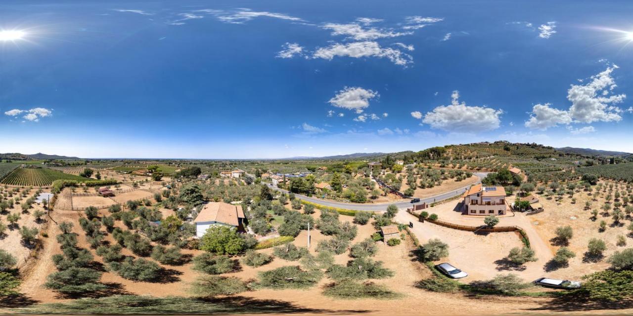 Agriturismo Il Vecchio Olivo Castagneto Carducci Eksteriør bilde