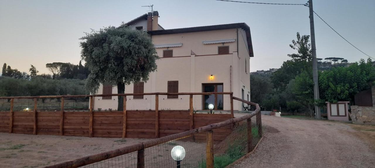 Agriturismo Il Vecchio Olivo Castagneto Carducci Eksteriør bilde